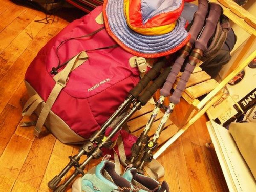 登山用品のトレッキングポール