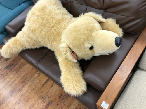 インテリアのぬいぐるみ