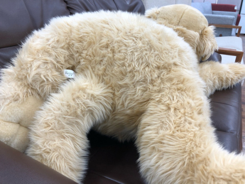 ぬいぐるみのDOG