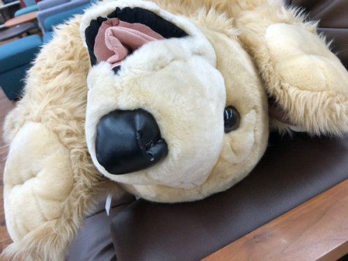 ホビーの入間　狭山　飯能　所沢　日高　川越　福生　インテリア