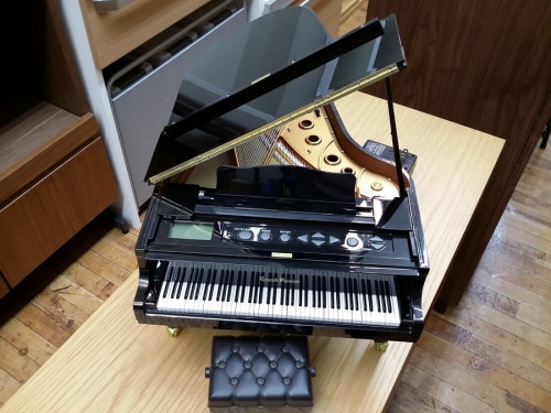ピアノコンサートプレーヤーのGrand Pianist