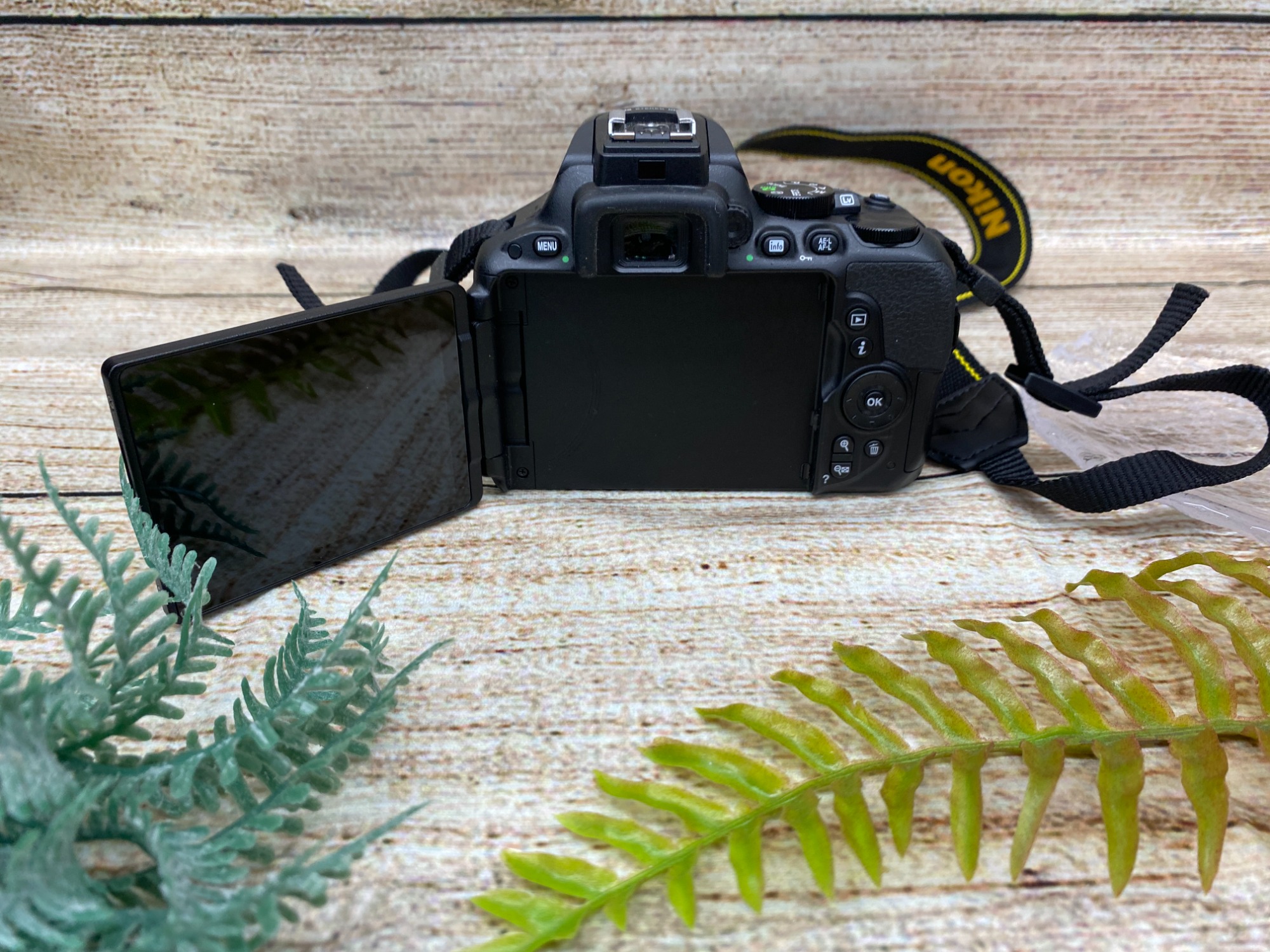 6ヶ月間の動作保証付】Nikonのデジタル一眼レフカメラ D5500を