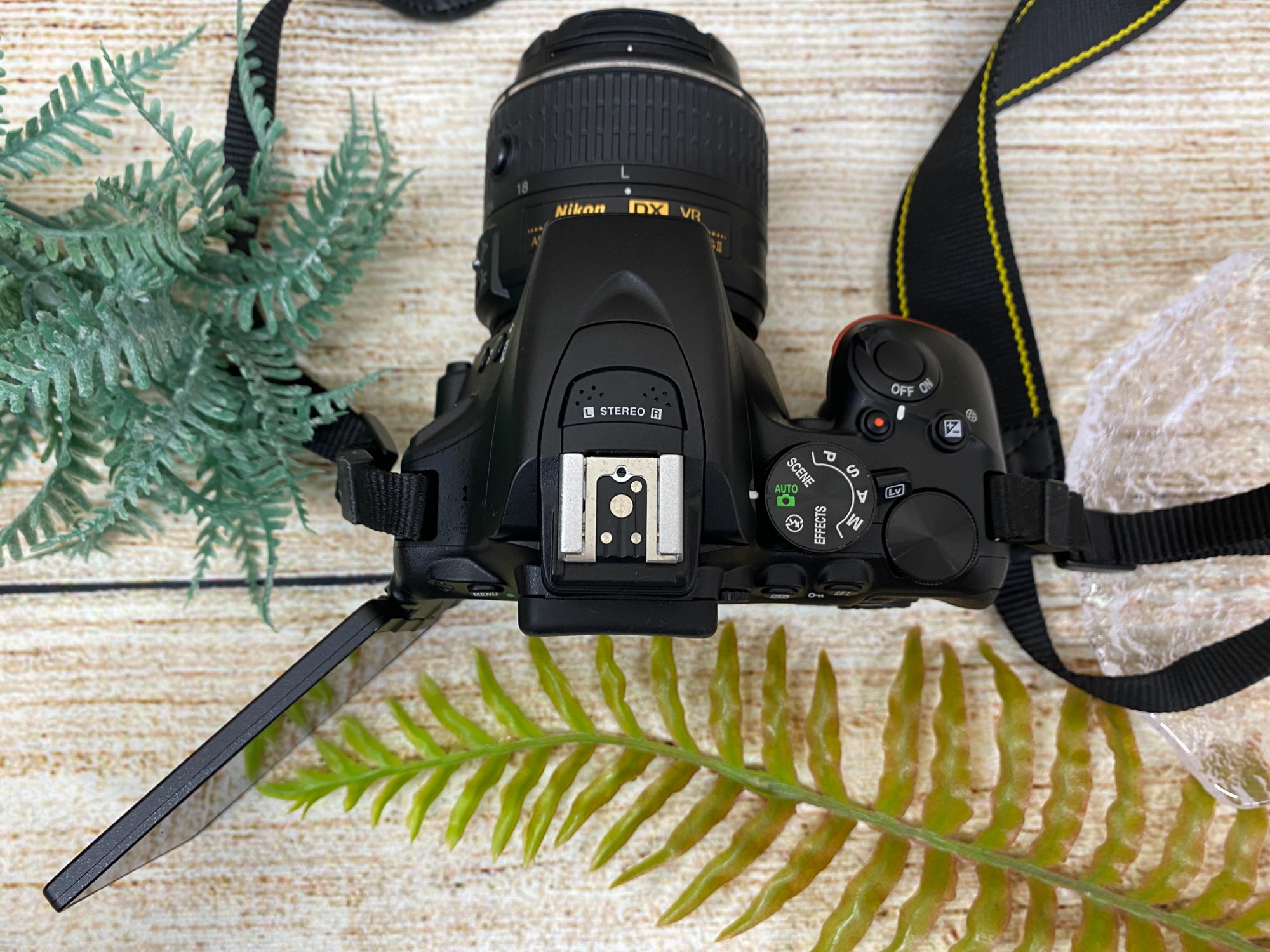 Nikon D5500 デジタル一眼レフカメラ　肩紐　ケース付 6ヶ月間の動作保証付】Nikonのデジタル一眼レフカメラ D5500を