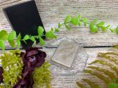 トレファクイオンモール新瑞橋店ブログ