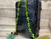 トレファクイオンモール新瑞橋店ブログ