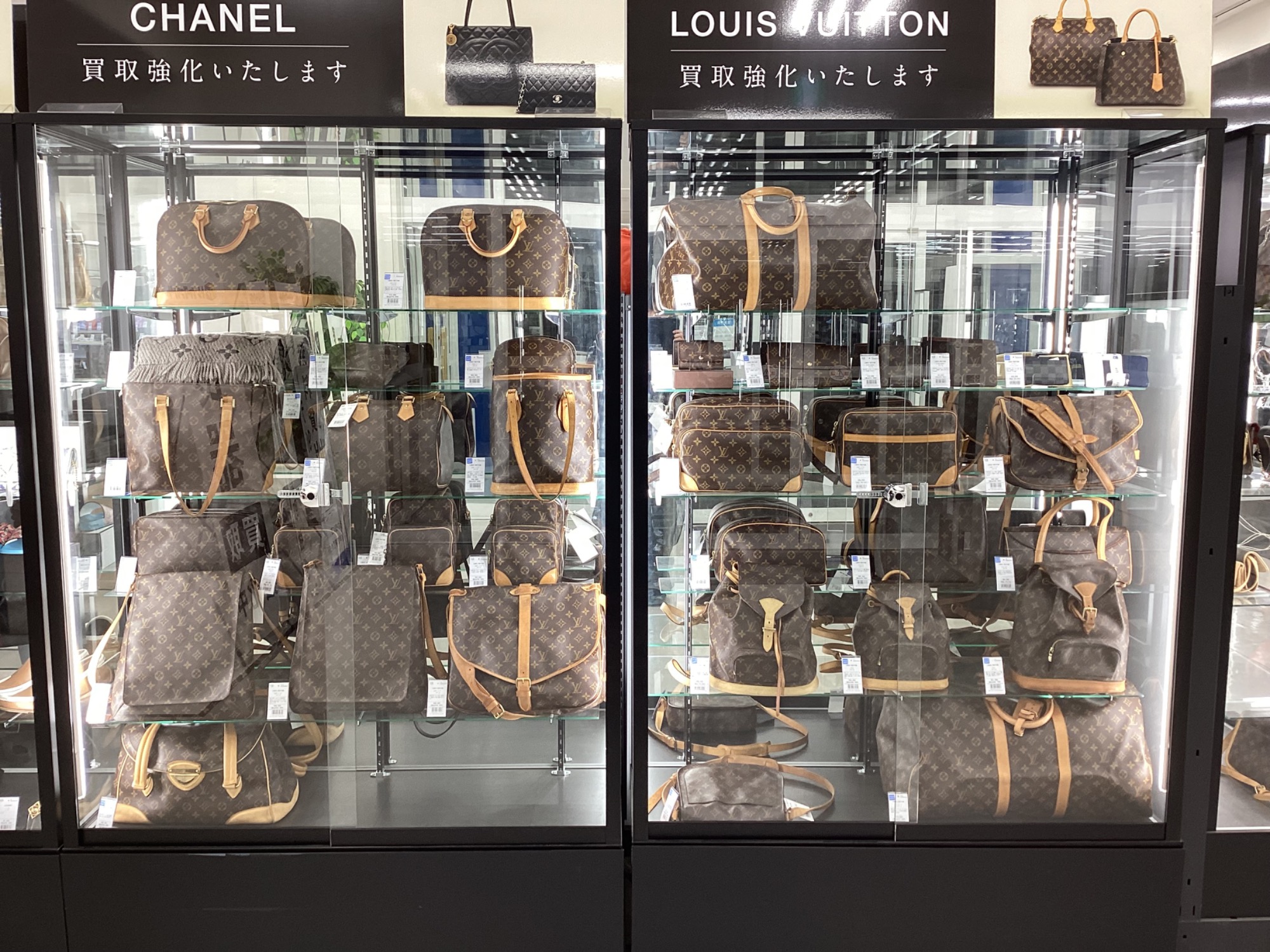 Introducing Treasure Factory Isesaki Folio Yasuhori Store—a