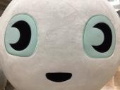 トレファク伊勢崎フォリオ安堀店ブログ