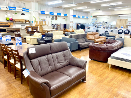 【トレファク　ラパーク岸和田店】シングルベッド　ニトリ　ナチュラル ベッド大量展開中！是非店頭にてご覧ください！【岸和田店】｜2021年09