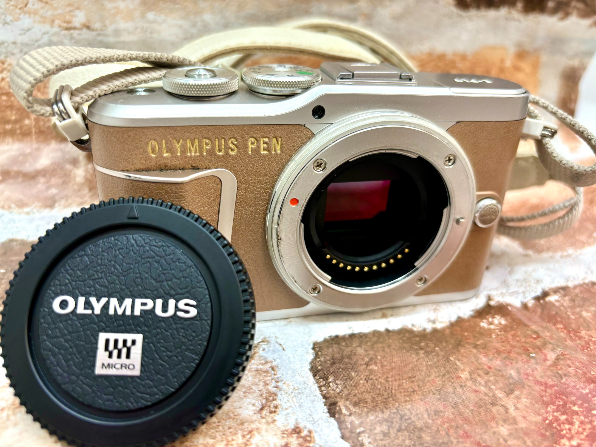 OLYMPUS】ミラーレス一眼カメラ入荷しました！｜2024年06月14日