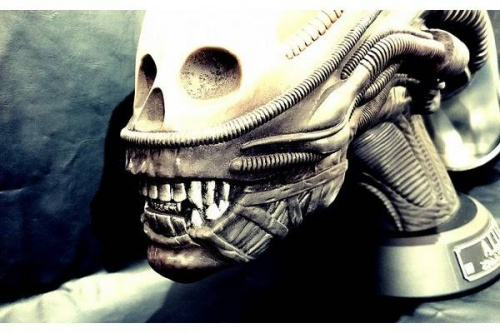 インテリアの川越店ホビー