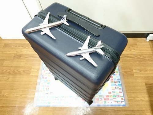 無印良品のキャリーバッグ