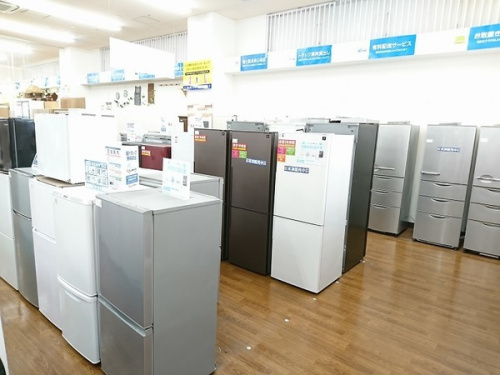 新生活の冷蔵庫