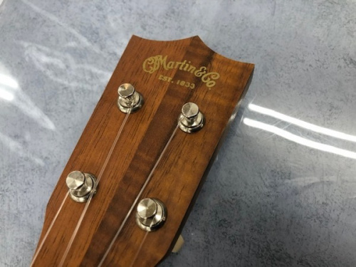 Martin
