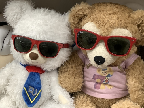 レディースファッションのレイバン