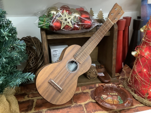 楽器のウクレレ