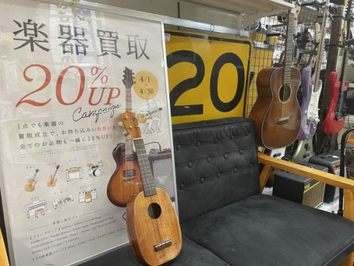 中古楽器店 の弦楽器 ウクレレ