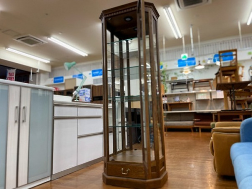 ラック　キュリオケースの葉山ガーデン