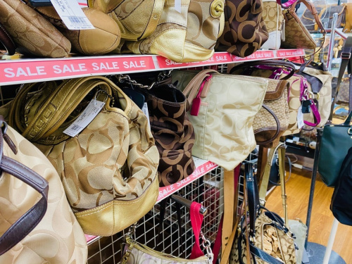 キャンペーンの2022年