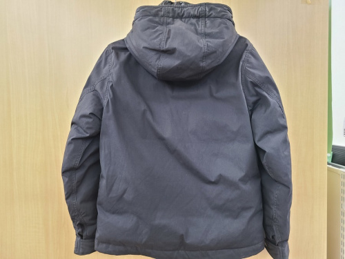 ダウンジャケットのTHE NORTH FACE