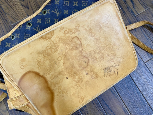 22年07月25日：画像８