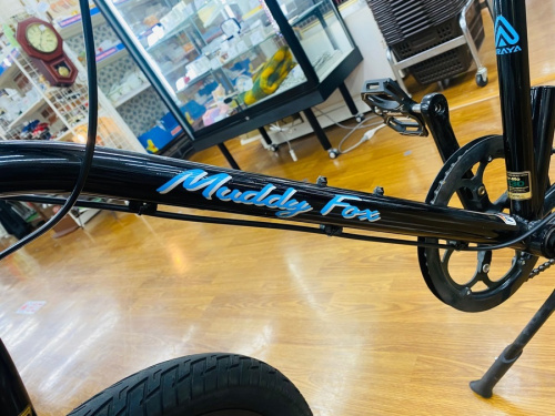 ARAYAのミニベロ