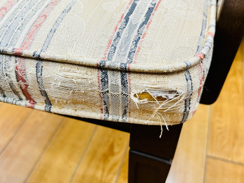 トレファクブログ画像10