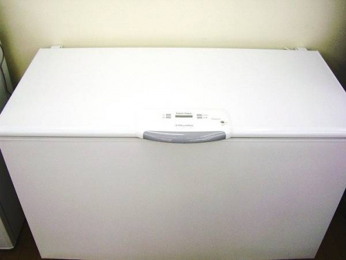 生活家電・家事家電の冷凍庫