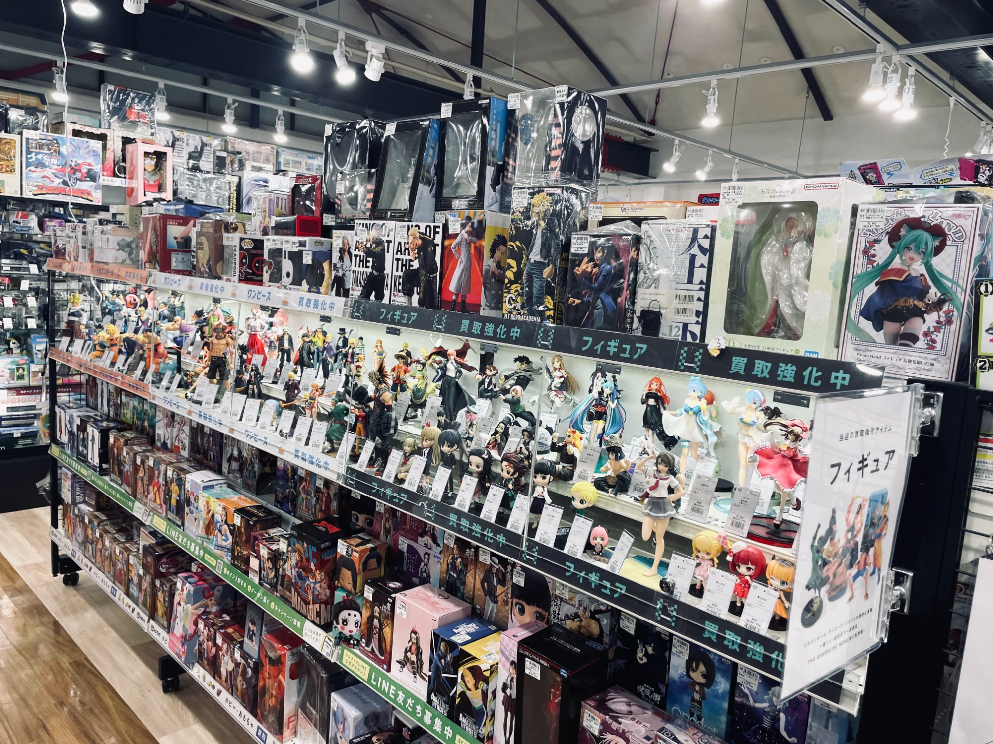 リニューアルしたフィギュア売場 ぜひご覧ください！！｜2024年02月19