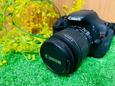 トレファク柏花野井店ブログ