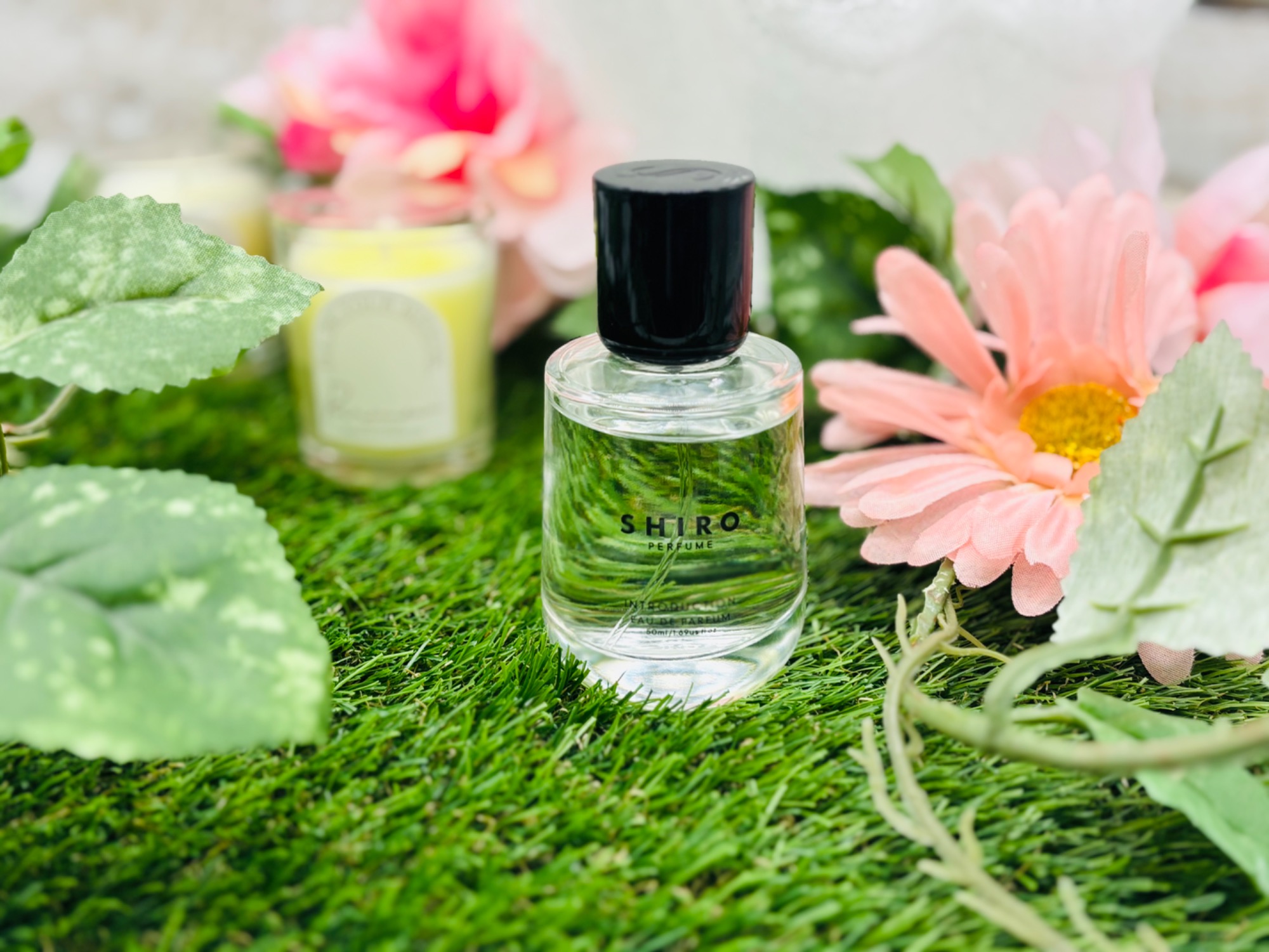 SHIRO サニーモーニング　香水 Amazon | SHIRO PERFUME SUNNY MORNING オードパルファン 50mL