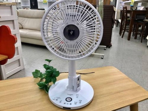生活家電・家事家電の季節家電