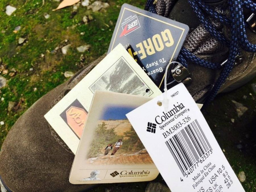 17年07月03日：画像８