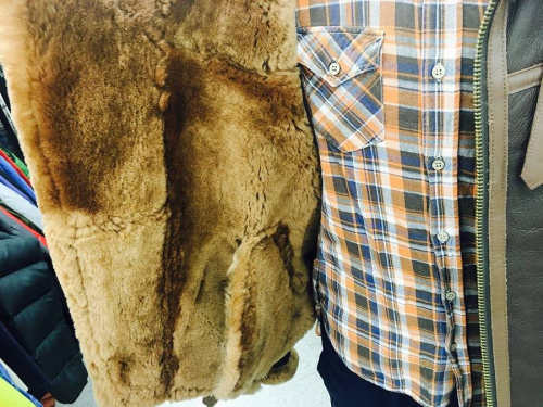 17年09月29日：画像６