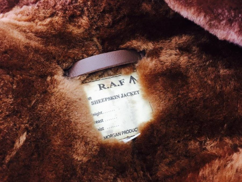 17年09月29日：画像７