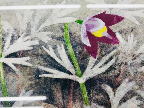 扇草の上村 松篁