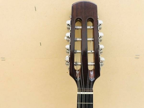 楽器の日の撥弦楽器