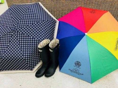 雑貨のレイングッズ