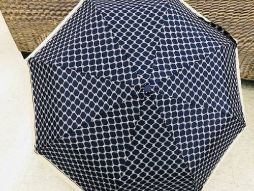 レインブーツの傘の日