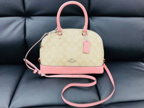 18年08月15日：画像６