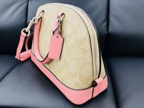 18年08月15日：画像７