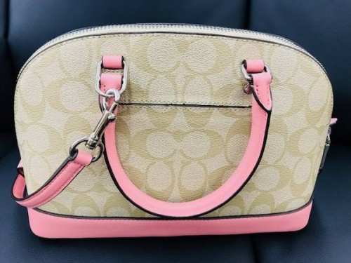 18年08月15日：画像８