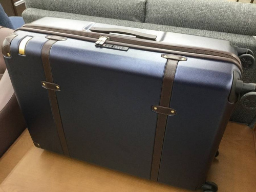 キャリーバッグのACE