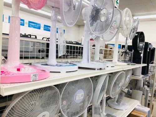 季節家電の扇風機