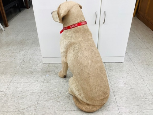 犬の春日部　岩槻　野田