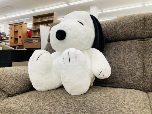 ホビーのヌイグルミ