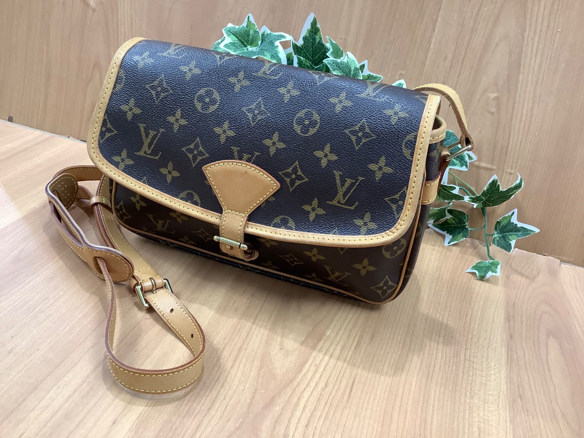 コンパクトなのに大容量！】Louis Vuitton（ルイヴィトン）より 
