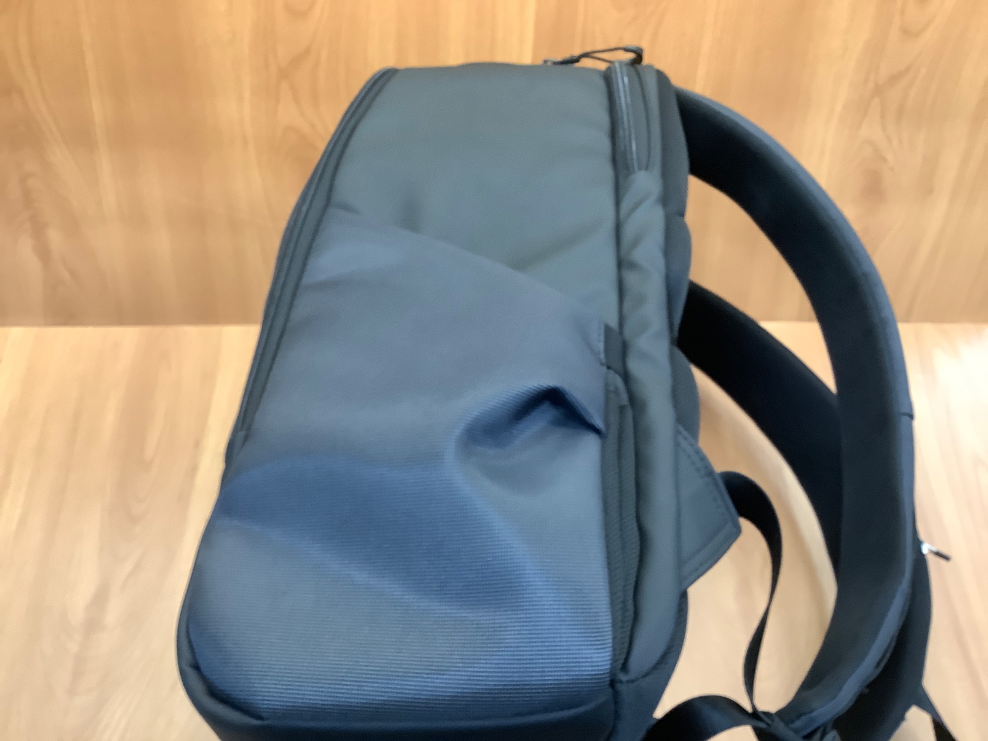 夢のコラボ！！】NOMADIC×しーさー（ノーマディック×しーさー