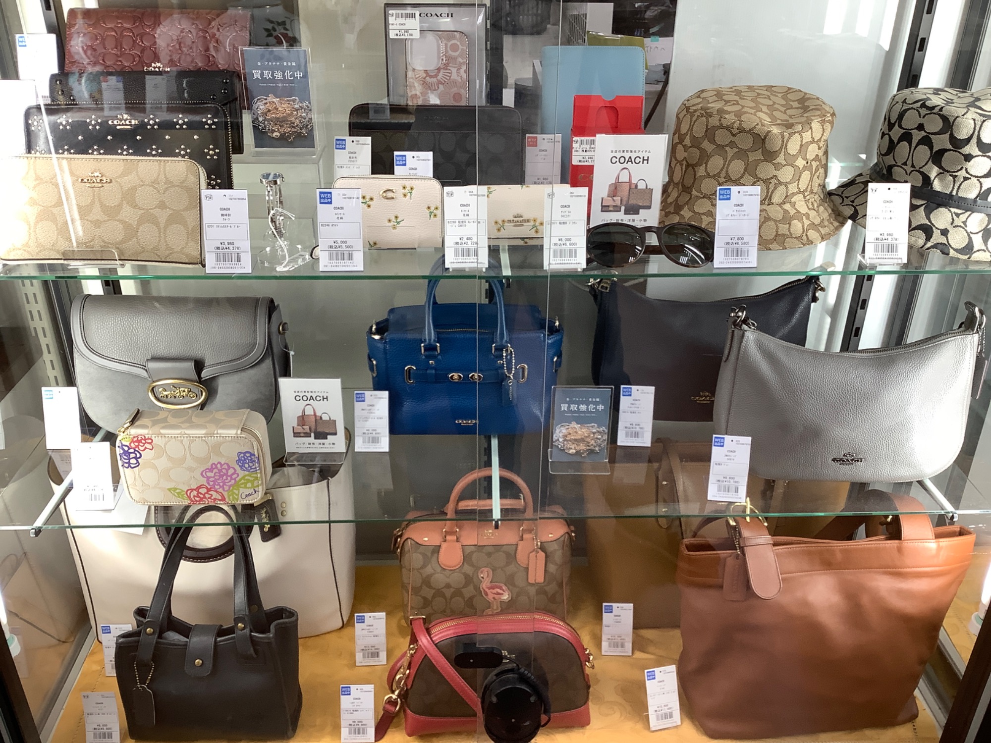 【COACH】コーチ新品ケース猫ちゃん COACH - COACH キャットプリント 猫柄 IDケース/パスケースの