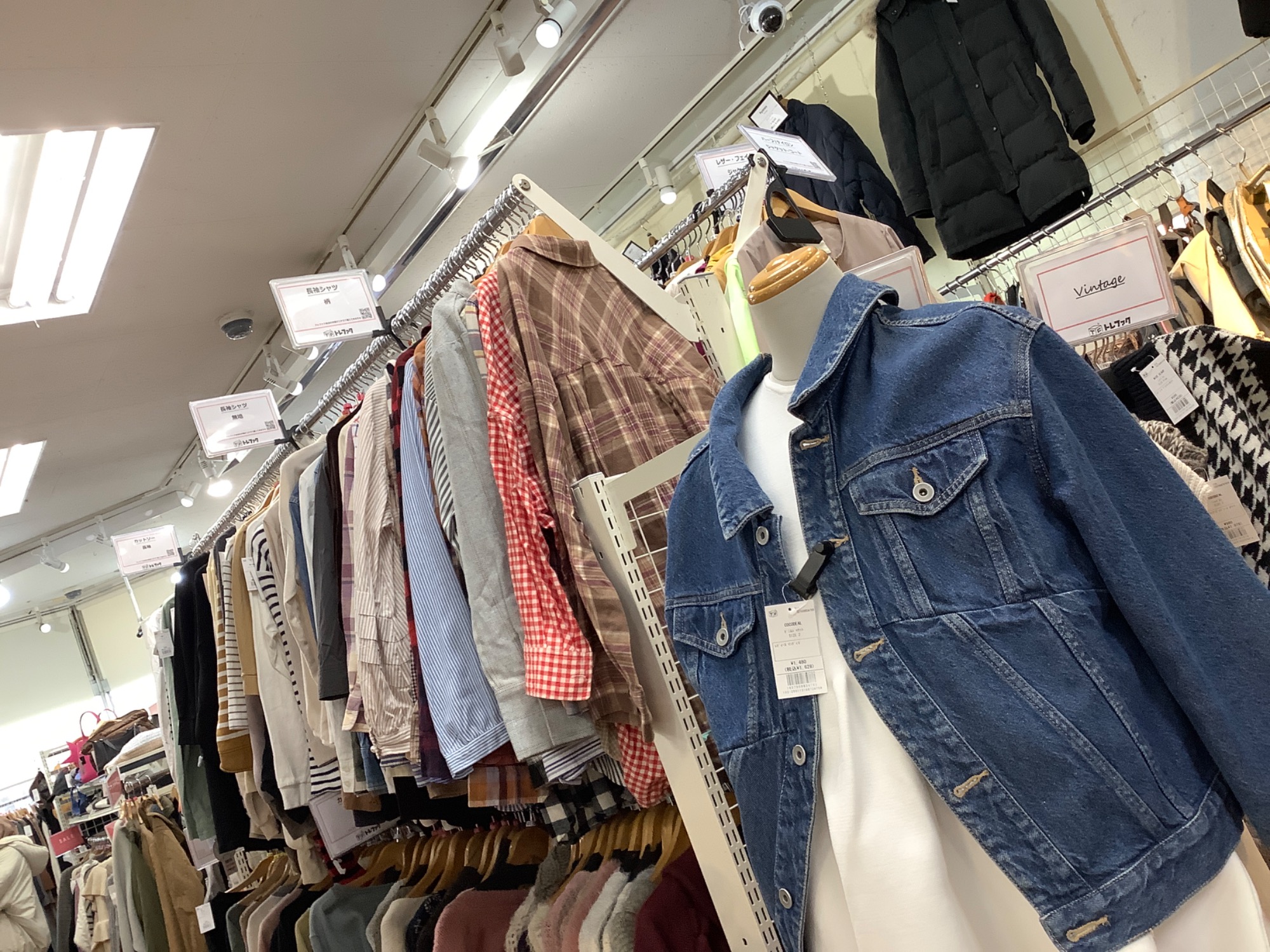 合わせやすいカラー!】CONVERSE×IENA(コンバース×イエナ 合わせやすいカラー!】CONVERSE×IENA(コンバース×イエナ