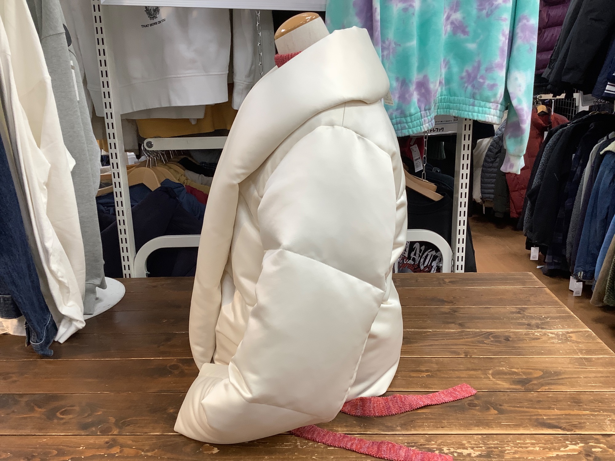 theory luxs（セオリー リュクス）】ダウンジャケット Vienne Idala が